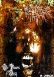 Cuff : The Process of Decay